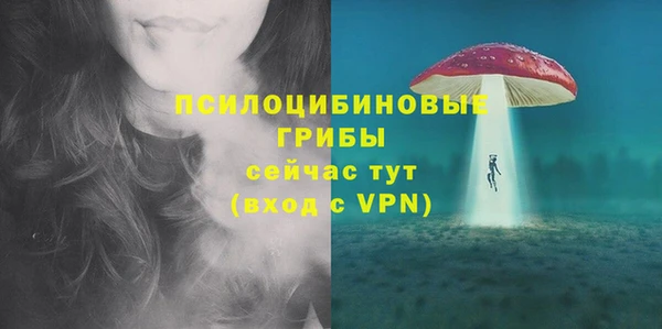 индика Горняк