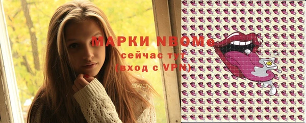 индика Горняк