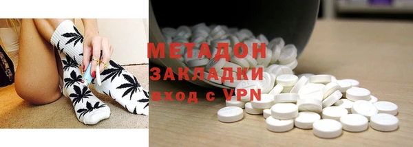 индика Горняк