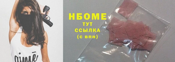 индика Горняк