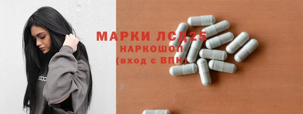 индика Горняк