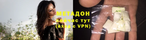 индика Горняк