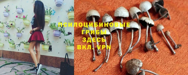 метамфетамин Горнозаводск