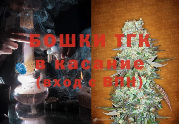 индика Горняк