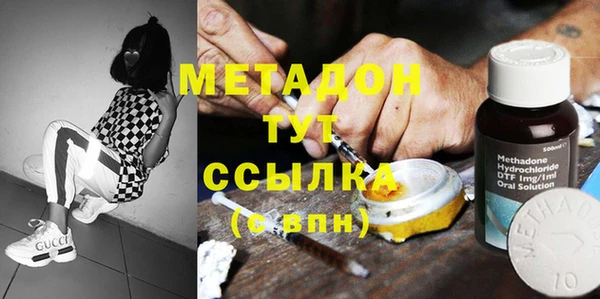 индика Горняк