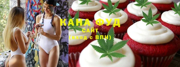 индика Горняк