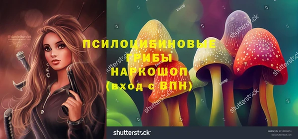 индика Горняк