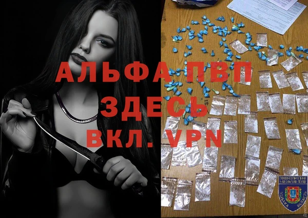 индика Горняк