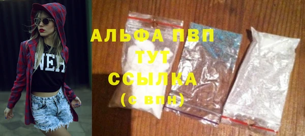 индика Горняк