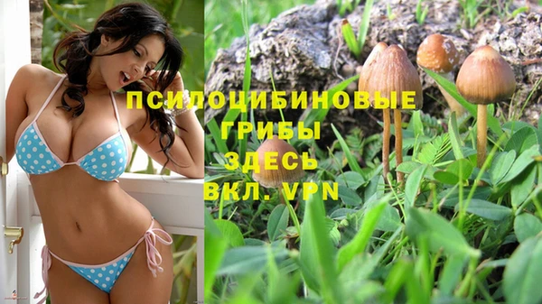 метамфетамин Горнозаводск