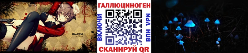 shop какой сайт  Пятигорск  Галлюциногенные грибы Psilocybine cubensis 